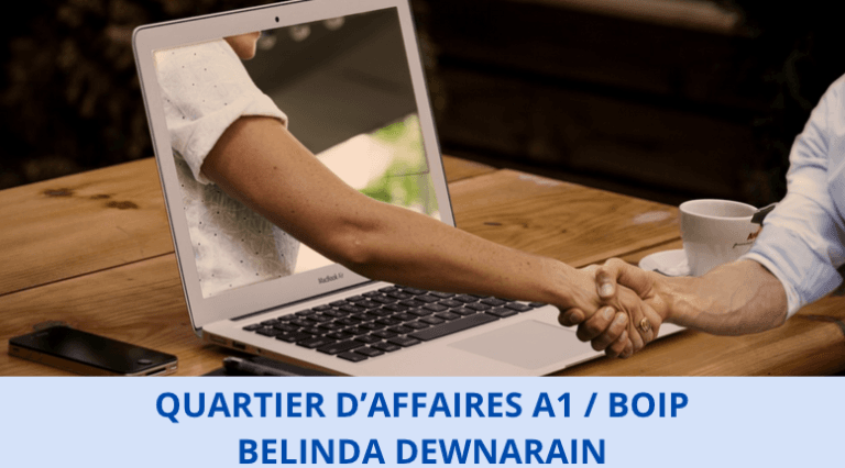 Quartier d’affaires /  A1 – Belinda Dewnarain